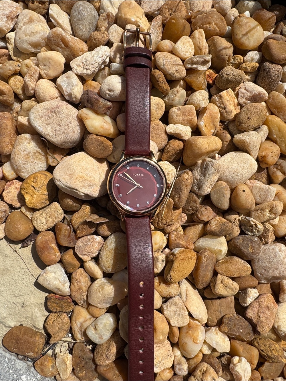 Ladies Fossil Watch